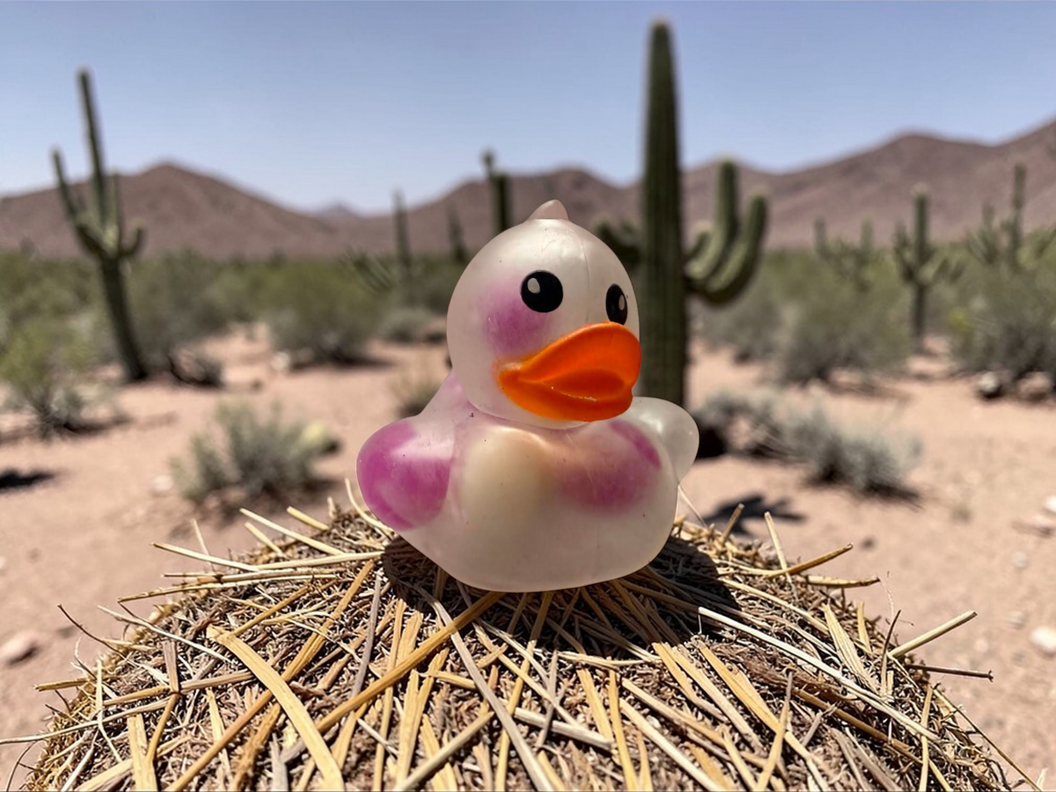 PURPLE BEAD MINI DUCK